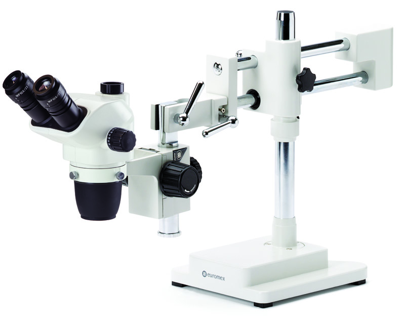 Euromex NexiusZoom EVO NZ.1703‑B Stereo Microscopes | Deterco